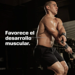 Private Label Support Endurance & Sports Recovery Supplements Muscle Whey Protein Powders