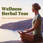 OEM Yerba Mate Tea Bags Rich Antioxidants Nutrients Healthy  Natural Caffeine Supports Energy Focus Yerba Mate Tea