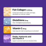 Highly Absorbable Low-molecular Collagen Powder Increase Skin Elasticity and Vitality Antiaging Collagen Powder