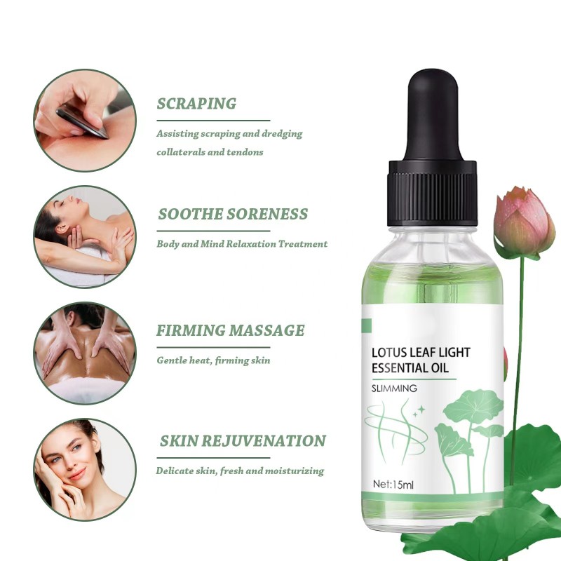 Body Slimming Oil Factory - OEM/ODM Lotus Leaf Extract Firm Burn Fat
