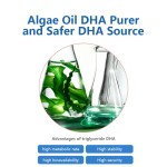 DHA藻油软胶囊源头工厂-贴牌批发深海脑记忆