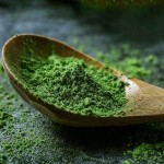 大麦绿汁粉源头工厂-代工实惠价格天然食品水果蔬菜