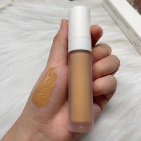 Concealer Manufacturer - High Quality Acne Full Coverage Custom logo Oil Control Contour