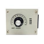 Motor Speed Controller Manufacturer - 4000W AC 220V Variable Voltage Control for Fan Speed & Dimmer