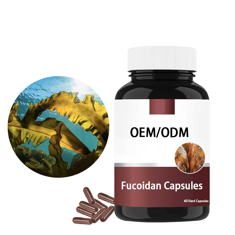 Fucoidan Capsules Factory - High Purity Immune Support