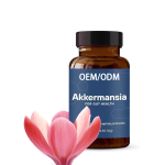 Probiotic Capsules Manufacturer - Intestinal Digestive Health