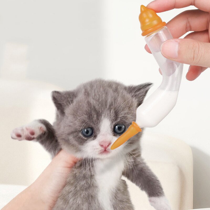 Pet Feeding Dispenser Manufacturer - New Design Quantitative Tube Feeding Medicine Glass Milk Feeder for Newborn Kittens Puppies