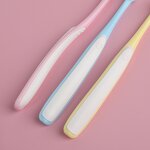 Pet Toothbrush Manufacturer - PVC Box Packaging for Dog Cat