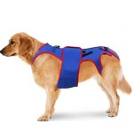 Pet Harness Manufacturer - Spine Support Apparel for Summer & Spring
