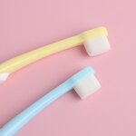 Pet Toothbrush Manufacturer - PVC Box Packaging for Dog Cat