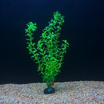 Aquarium Decoration Manufacturer - Hot Selling Plastic Simulation Grass Fish Tank with Seaweed Decoration