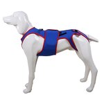 Pet Harness Manufacturer - Spine Support Apparel for Summer & Spring