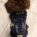 Dog Denim Costume Manufacturer - Fashion Cool Embroidery Vest Pet Clothing