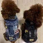 Dog Denim Costume Manufacturer - Fashion Cool Embroidery Vest Pet Clothing