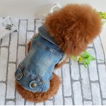 Pet Dog Vest Manufacturer - Fashionable Retro Scratch-Patterned Denim Jeans for Small Dogs Summer