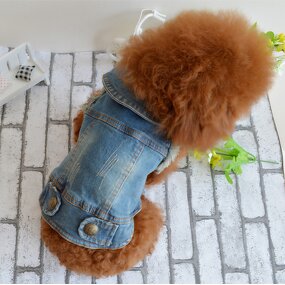 Pet Dog Vest Manufacturer - Fashionable Retro Scratch-Patterned Denim Jeans for Small Dogs Summer