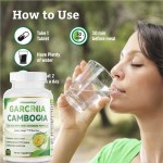 Digestion Capsules Manufacturer - WelnessWays Garcinia Cambogia Improved Energy Levels