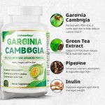 Digestion Capsules Manufacturer - WelnessWays Garcinia Cambogia Improved Energy Levels