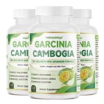 Digestion Capsules Manufacturer - WelnessWays Garcinia Cambogia Improved Energy Levels