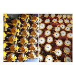 Spring Balancer Manufacturer - Best-selling 3kg 5kg 15kg New Spring Balance