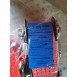 Ratchet Tie Down Strap Manufacturer - 2 Inch 3 Ton 10 Meters Cargo Lashing with Double Hook