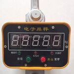 Electronic Crane Scales Manufacturer - OCS- XS Direct View 1t to 10t Capacity