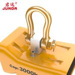 Electronic Crane Scales Manufacturer - OCS- XS Direct View 1t to 10t Capacity