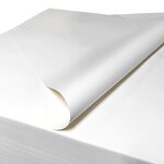 Cleanroom Printing Paper Manufacturer - Lint Free All Color Safety 72/80gsm A4