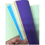 Cleanroom Paper Manufacturer - High Quality 72g 80g Colorful Clean Max A4