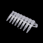 PCR Tubes Manufacturer - Factory Price 0.2Ml with Flat Caps DNase Free 8 Strip