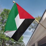 Palestine Flag Manufacturer - 90x150cm Polyester World National Palestinian Country Banner