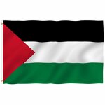 Palestine Flag Manufacturer - 90x150cm Polyester World National Palestinian Country Banner