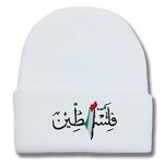 Palestinian Flag Embroidered Hat Manufacturer - Arabic Letters Men Women Autumn Winter Warm 28 Colors