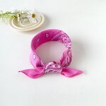 Bandana Manufacturer - 100% Polyester Outdoor Headwear Sport Scarf Neck Headband Paisley Pattern Square