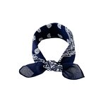 Bandana Manufacturer - 100% Polyester Outdoor Headwear Sport Scarf Neck Headband Paisley Pattern Square
