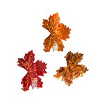 Hair Claw Clip Manufacturer - New Design Fun Simulated Maple Leaf Acetate for Girl Woman