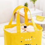 Insulated Lunch Bag Manufacturer - OEM Drawstring Outdoor Picnic Cooler Tote Customized