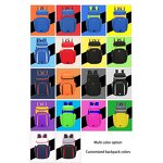 Sports Waterproof Basketball Backpack Manufacturer - Customized Football Volleyball Fits All Soccer Equipment Gym