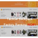 Tactical Molle Backpack Manufacturer - Laser-Cut Outdoor Travel Camping Adventure Mochila Tactico 3 Day Assault