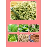 瘦身片剂生产商-GMP ISO定制配方天然有机28天排毒