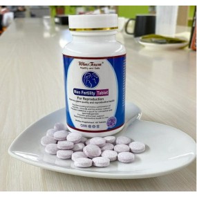 Fertility Tablets Manufacturer - OEM logo Natural Organic Herbal MACA Ginseng Men Male