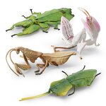 Orchid Mantis Model Manufacturer - Lelewu Simulation Insect Animal Stettii Decoration