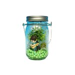 Landscape Glass Jar Light Manufacturer - Senlin Cross-border LED Outdoor Decoration Hanging Color Solar Glow Mason Bottle DIY