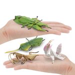 Orchid Mantis Model Manufacturer - Lelewu Simulation Insect Animal Stettii Decoration