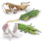 Orchid Mantis Model Manufacturer - Lelewu Simulation Insect Animal Stettii Decoration