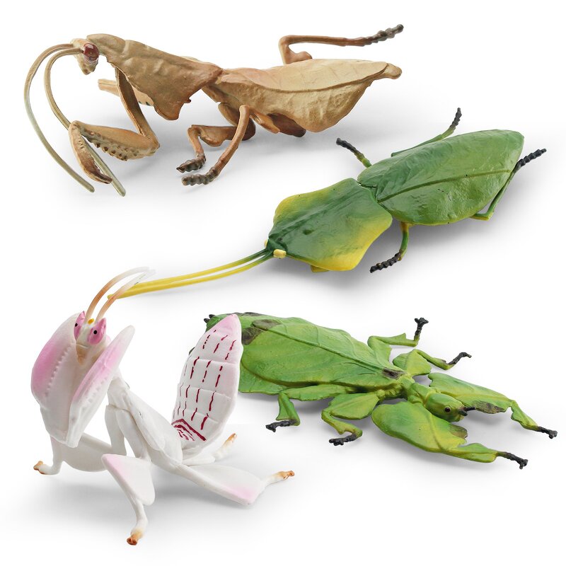 Orchid Mantis Model Manufacturer - Lelewu Simulation Insect Animal Stettii Decoration