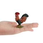 Rooster Model Manufacturer - Lelewu Source Simulation Puzzle Science Education Solid Farm Animal Decoration