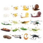 Insect Life Cycle Model Manufacturer - Lelewu Simulation Dragonfly Snail Grasshopper Mosquito Growth Science Education Decoration