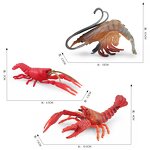Freshwater Crayfish Model Manufacturer - Lelewu Simulation Marine Animal Red Crayfish Crystal Long Arm Shrimp Solid Decoration