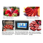 Freeze Drying Machine Manufacturer - Commercial for Fruit Food Coffee Small Laboratory Lyophilizer